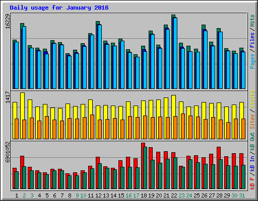 Daily usage for January 2016