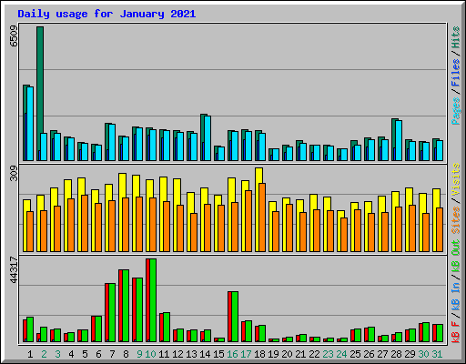 Daily usage for January 2021