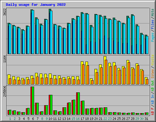 Daily usage for January 2022