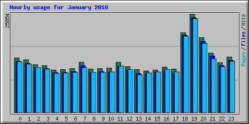 Hourly usage for January 2016