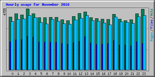 Hourly usage for November 2016