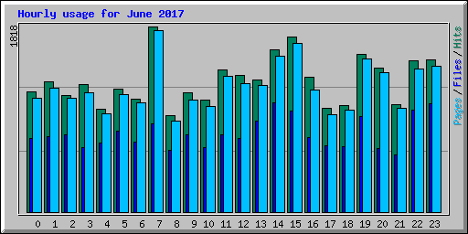 Hourly usage for June 2017