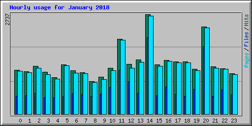 Hourly usage for January 2018