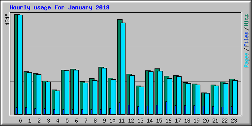 Hourly usage for January 2019