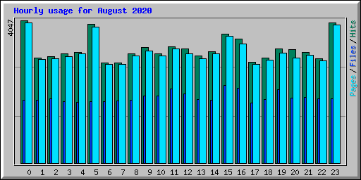 Hourly usage for August 2020