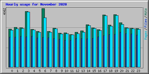 Hourly usage for November 2020