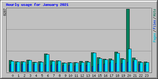 Hourly usage for January 2021