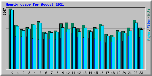 Hourly usage for August 2021