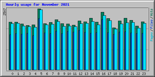 Hourly usage for November 2021