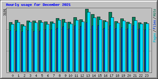 Hourly usage for December 2021
