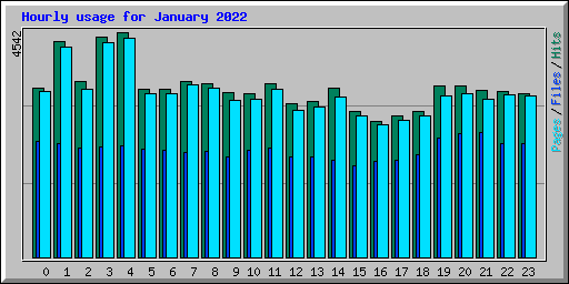 Hourly usage for January 2022