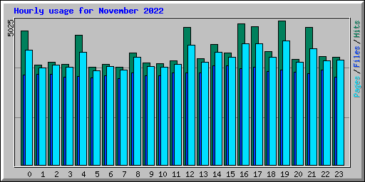 Hourly usage for November 2022