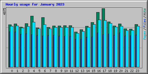Hourly usage for January 2023