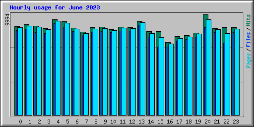 Hourly usage for June 2023