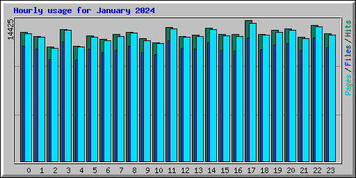 Hourly usage for January 2024