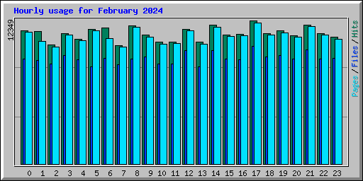 Hourly usage for February 2024