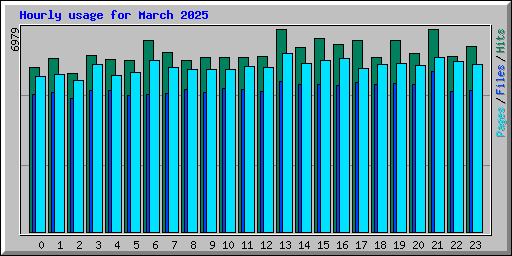 Hourly usage for March 2025