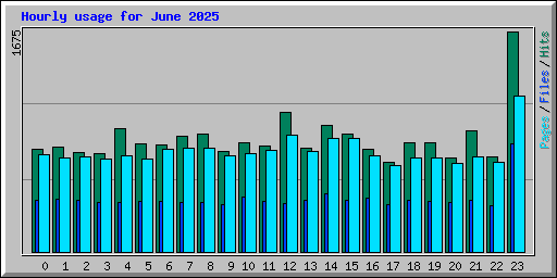 Hourly usage for June 2025