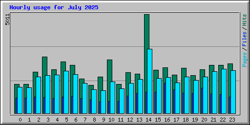 Hourly usage for July 2025
