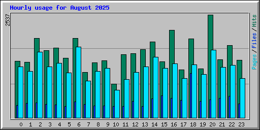 Hourly usage for August 2025