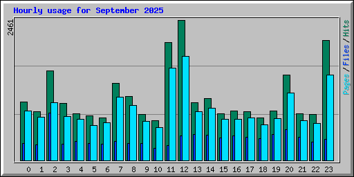 Hourly usage for September 2025